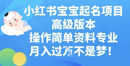 小红书宝宝起名项目高级版本，操作简单，资料专业，月入过W-蓝天网创