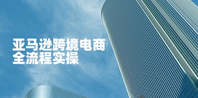 (14252期)亚马逊跨境电商全流程实操,教你从零开始,掌握店铺运营与广告技巧-蓝天网创