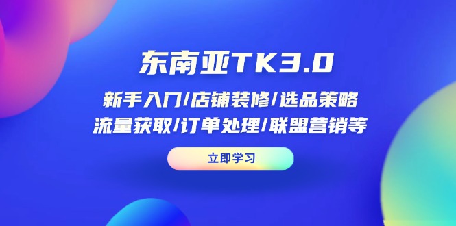 (14208期)东南亚TK3.0:新手入门/店铺装修/选品策略/流量获取/订单处理/联盟营销等-蓝天网创