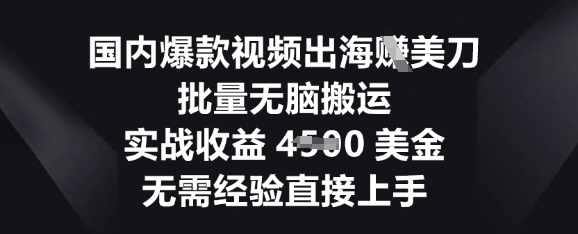 国内爆款视频出海挣美刀,批量无脑搬运,实战收益4.5k,无需经验直接上手-蓝天网创
