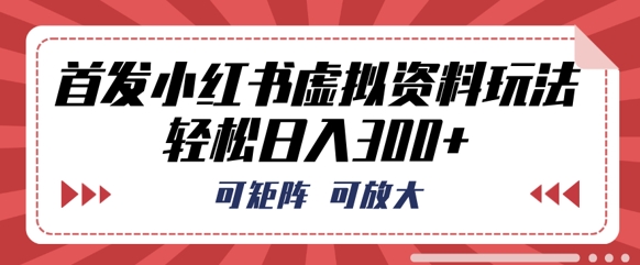 首发小红书虚拟资料玩法,可矩阵,可放大,轻松日入3张-蓝天网创