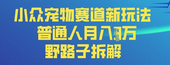 小众宠物赛道新玩法，普通人月入过1W的野路子拆解-蓝天网创