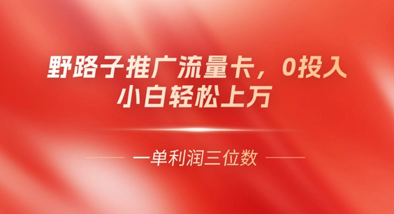 0门槛推广流量卡,一单收益上百,0投入,小白月入过W-蓝天网创
