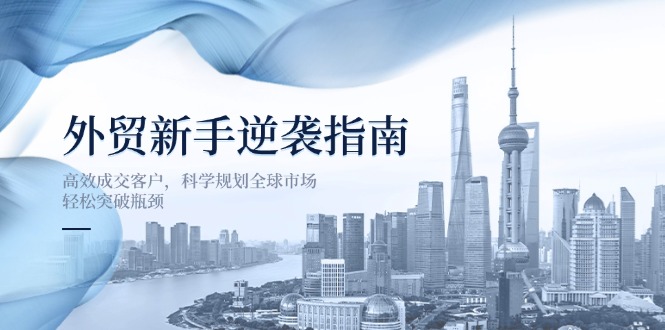 (14201期)外贸新手逆袭指南:高效成交客户,科学规划全球市场,轻松突破瓶颈-蓝天网创