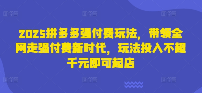 2025拼多多强付费玩法,带领全网走强付费新时代,玩法投入不超千元即可起店-蓝天网创