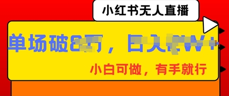 小红书无人直播,纯小白可做,有手就行,单场直播销售额破8w-蓝天网创