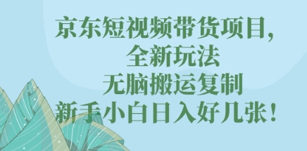 京东短视频带货项目,全新玩法,无脑搬运复制,新手小白日入好几张!-蓝天网创