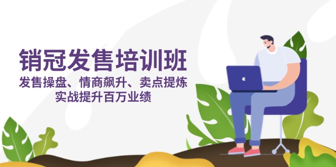 (14203期)销冠 发售培训班:发售 操盘+情商 飙升+卖点 提炼,实战提升百万业绩-蓝天网创