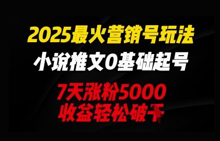 2025最火营销号玩法：小说推文0基础起号，7天涨粉5000，收益轻松破k-蓝天网创